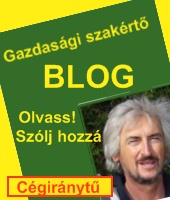 Gazdasági szakértő blog Gazdasági szakértő blog